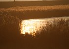 IMG 0286