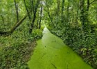 Amsterdam Noord   Vliegenbos
