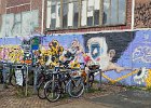 Amsterdam Noord   graffiti NDSM werf