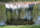 IMG 2958