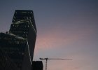 IMG 6317