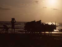 India 1987 Anjuna sunset, Goa