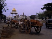 india913b Mysore