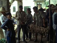 China 1988 wegen van een varken op de markt, Yangshuo market