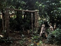 Thailand traditional tribe entrance to village