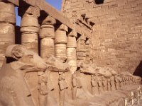 Egypte 1996  bicycle tour