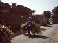 Egypte 1996  transport Luxor