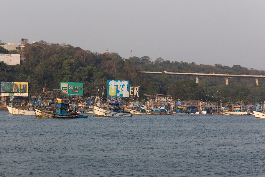 2025 Goa