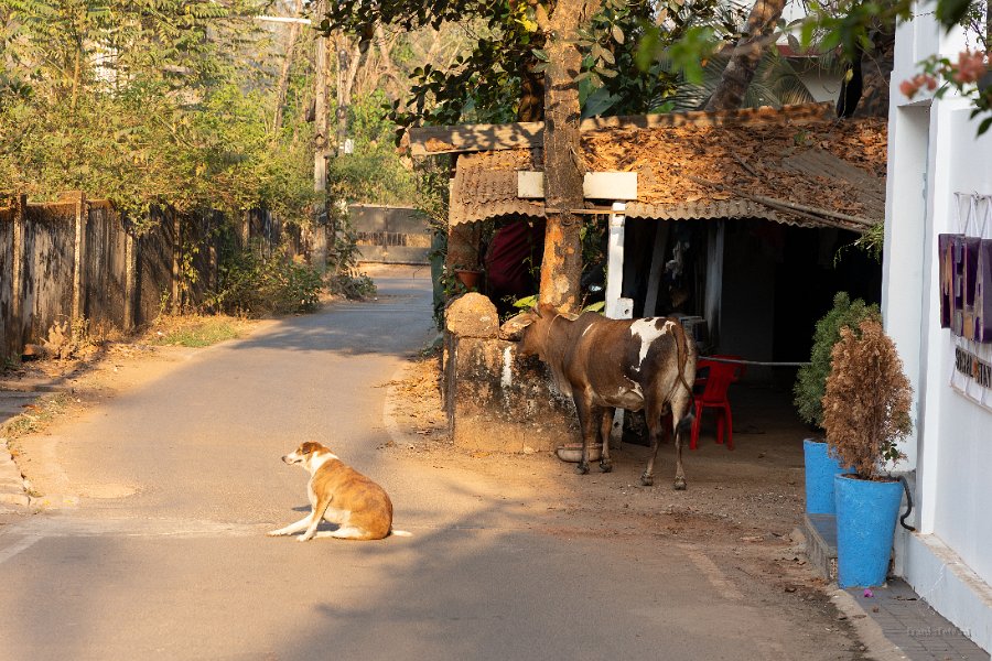 2025 Goa