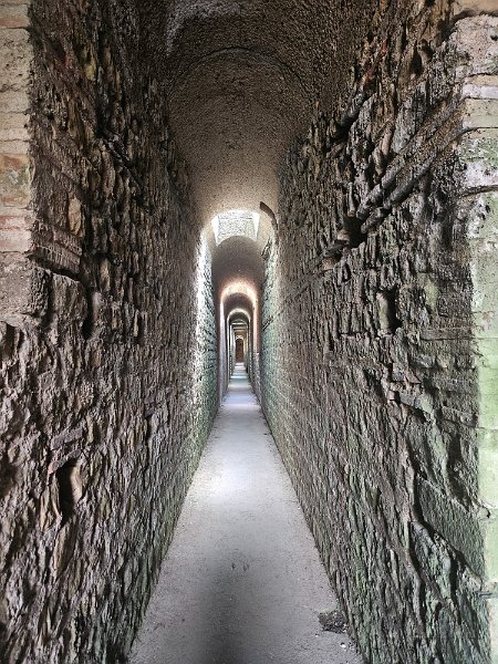 Trier 2026