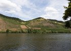 view of Mosel