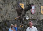 roofvogelshow