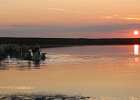 zonsondergang in plan Tureluur, Schouwen Duiveland