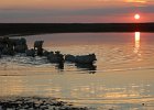 zonsondergang in plan Tureluur, Schouwen Duiveland