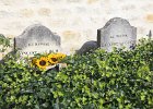 Auvers-sur-Oise, graven van Vincent en Theo van Gogh