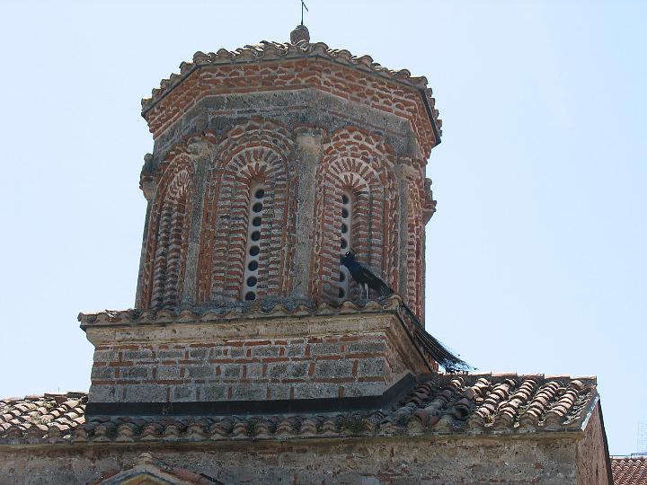 amg_1601.jpg - pauw op klooster Sveti Naum, Macedonie