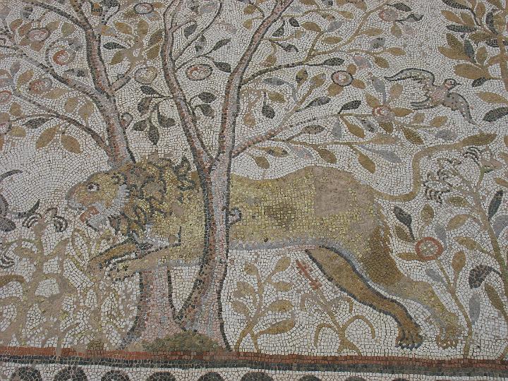amg_1828.jpg - Bitola, Heraclea Lyncestis, mozaiek rond 5e eeuw