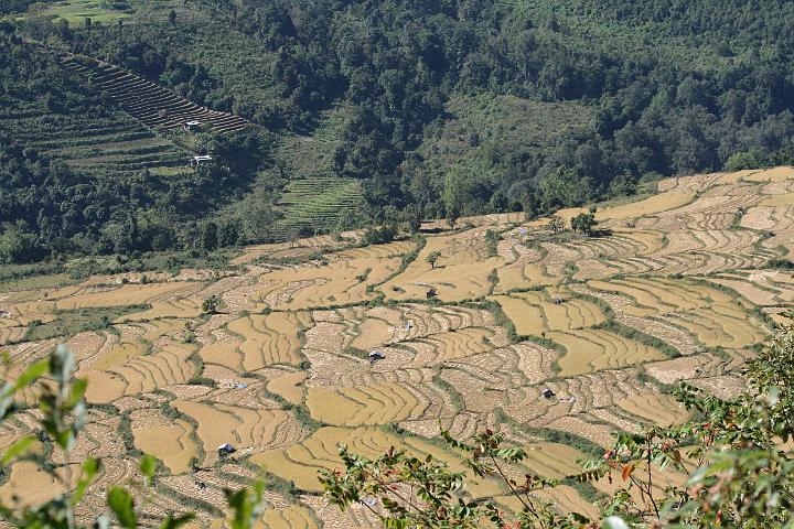 20081112-354bhutan.jpg - bhutanees panorama