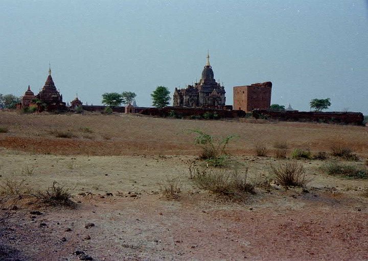 my524.jpg - Bagan
