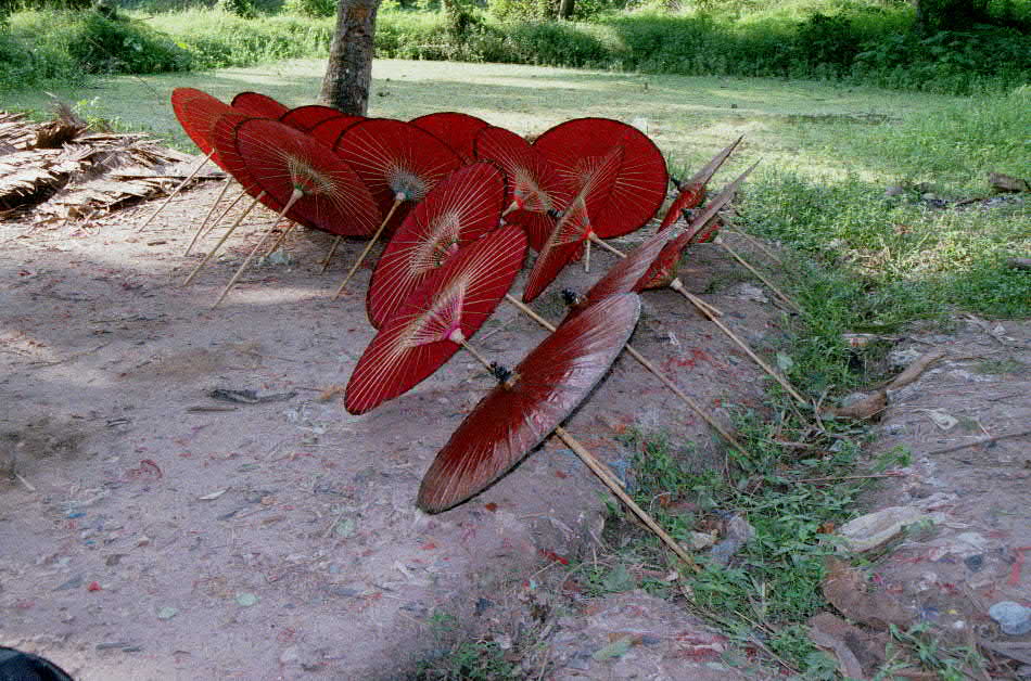  parasols