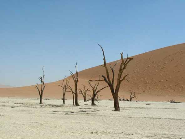 Namibia, Deathvlei