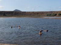 Piscinas de Sal, Sal