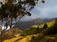 wandeling bij Constantia nek