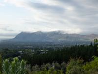 wandeling bij Constantia nek