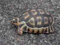 West Coast National Park Marine Protected Area