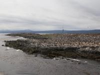 Tour on the Beagle channel