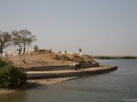 Shell - island senegal