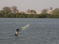 Shell - island senegal