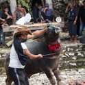 20161110-IMG 2224  buffeloffers voor begrafenis
