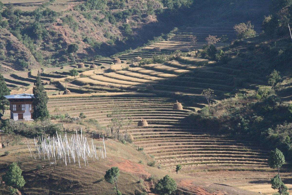 20081106-012bhutan