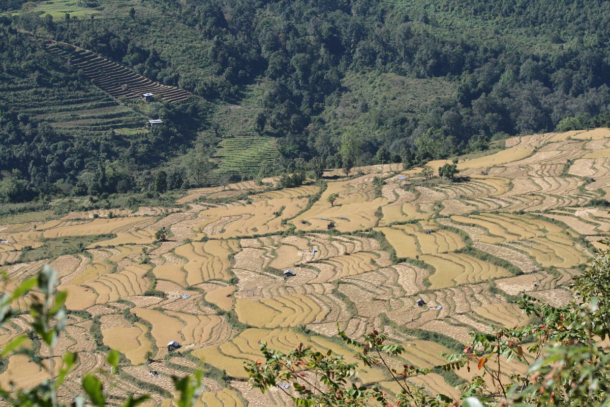 20081112-354bhutan